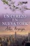 [HQÑ 185] • Un cerezo en Nueva York